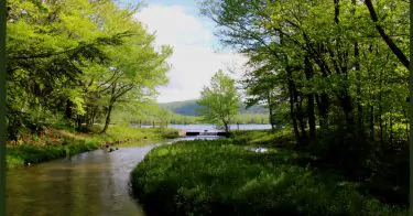 creek and pond in the Catskills