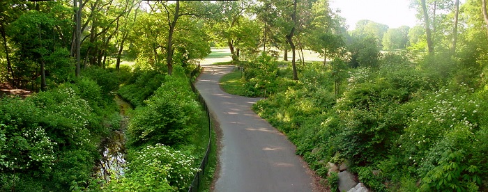 prospect park, brooklyn, pregnant