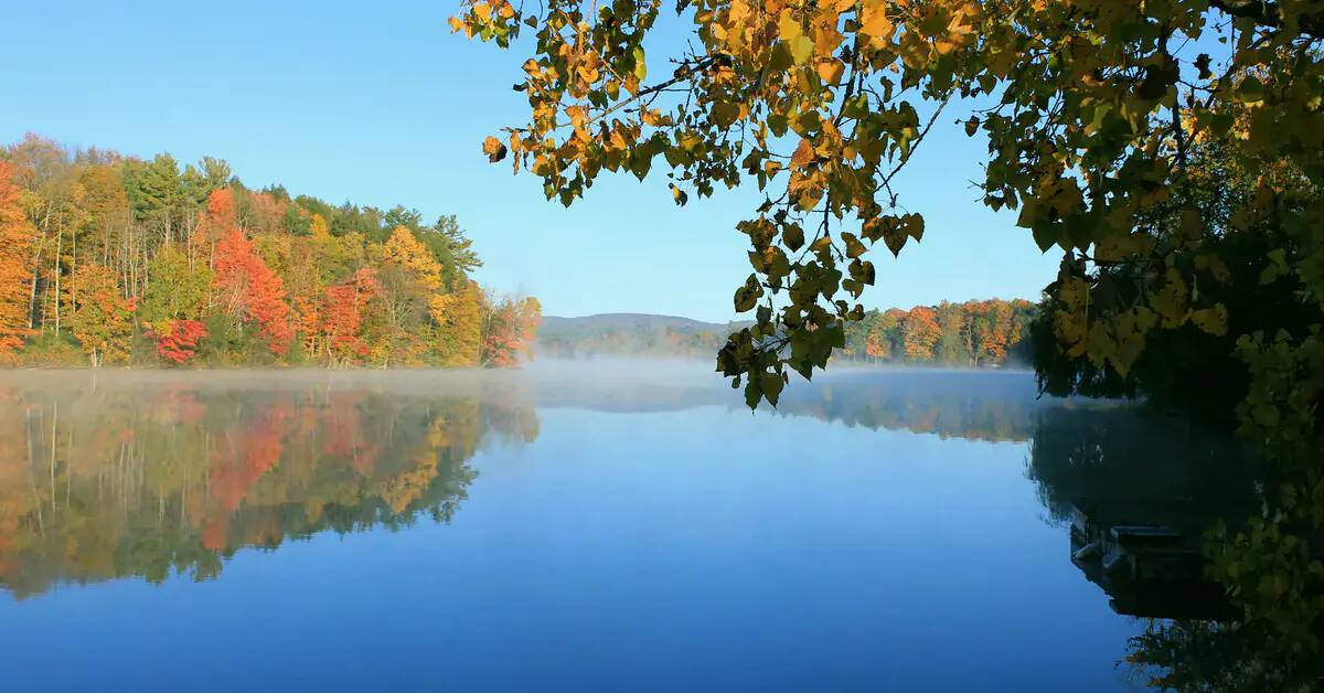 A lake in Lee, MA